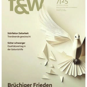 f&w führen und wirtschaften im Krankenhaus 7|25 | Einzelheft