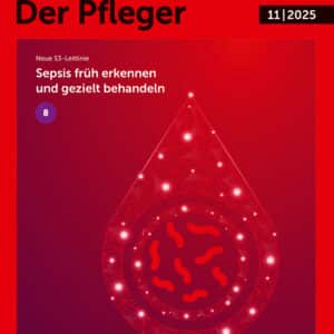 Die Schwester | Der Pfleger 11|25 | Einzelheft