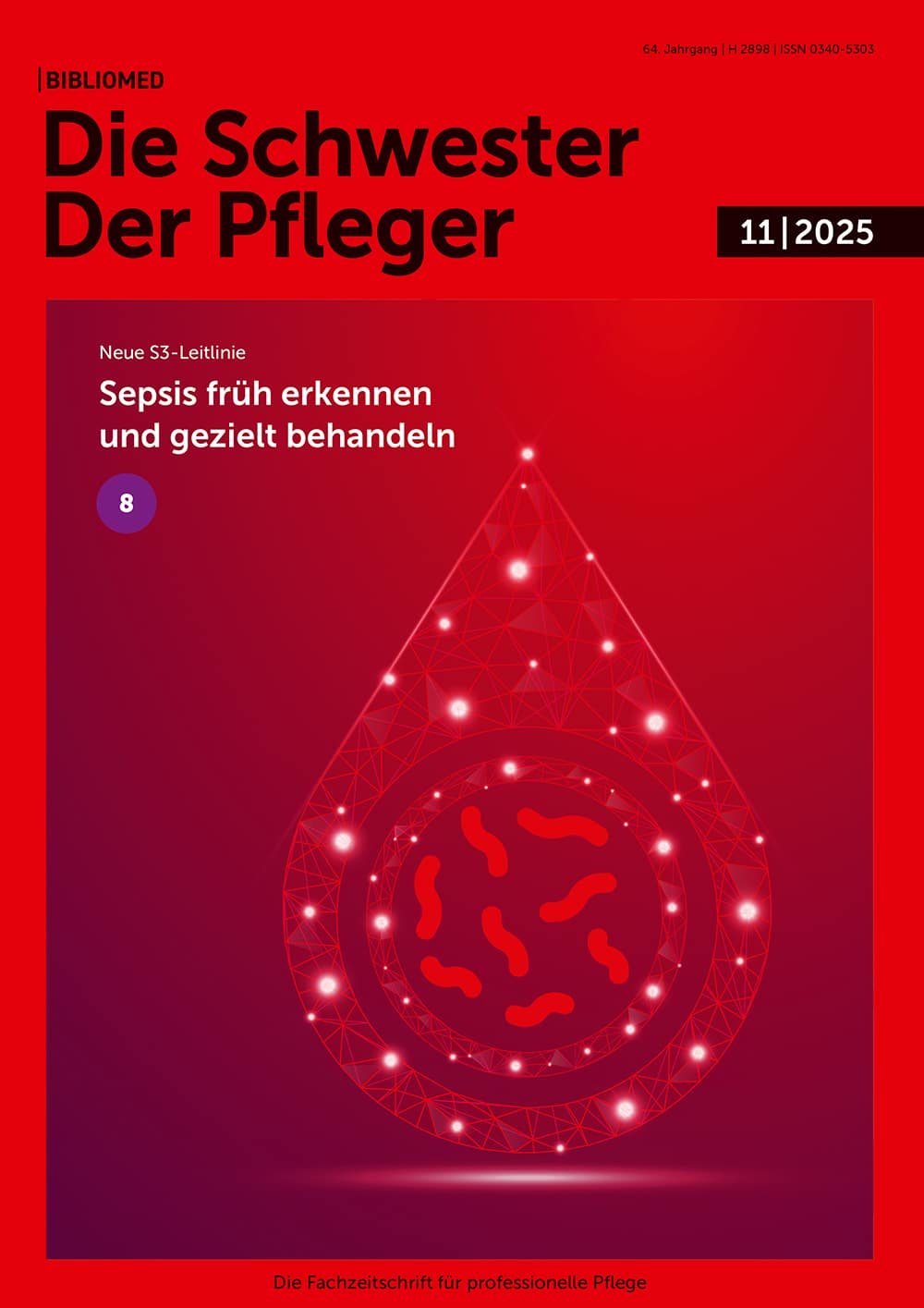 Die Schwester Der Pfleger/11/2025/SP_11-25_Inhalt