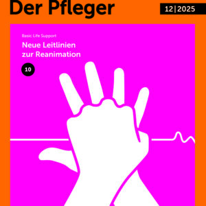 Die Schwester | Der Pfleger 12|25 | Einzelheft